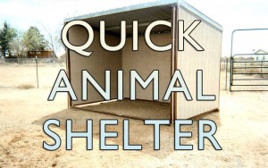 Building an animal shelter in Central Oregon