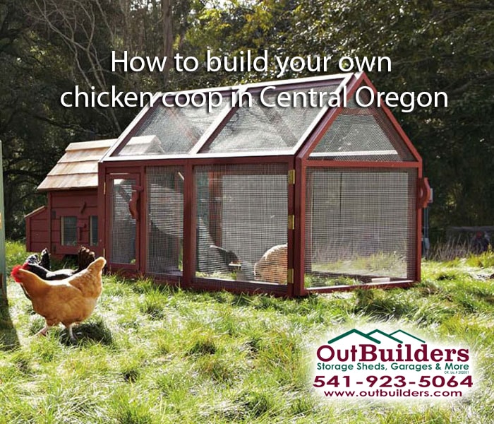How to build your own chicken coop in Central Oregon