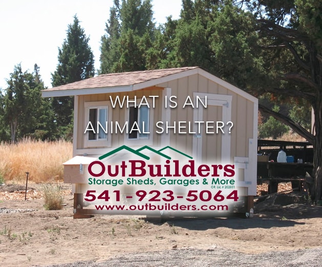 Types of animal shelter