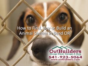How to Find, Buy or Build an Animal Shelter in Bend OR